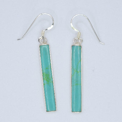 Skinny Long Oblong Drop Earrings