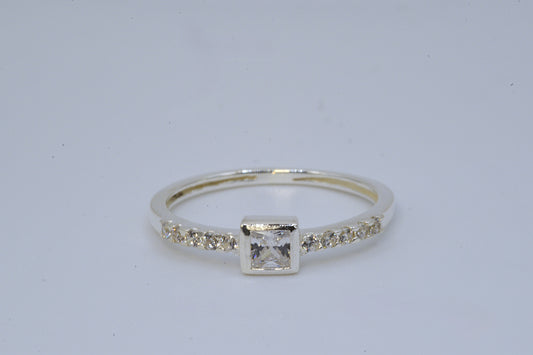 Princess Cut CZ Ring with Pave Band