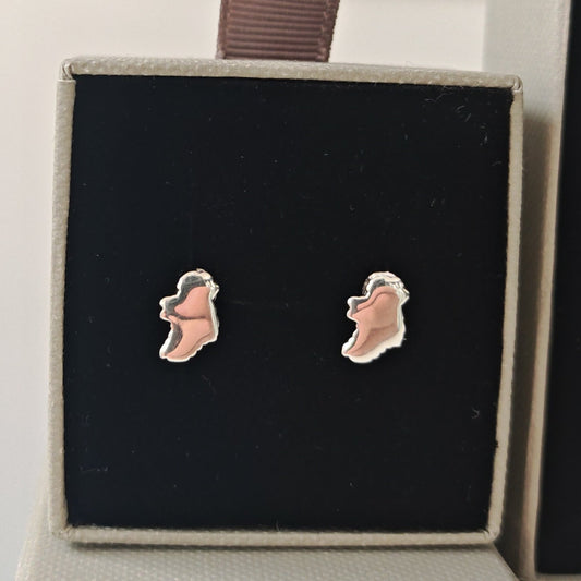 Ireland Map Stud Earrings